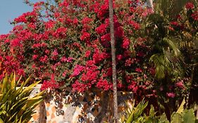 Best Western Tamarindo Vista Villas